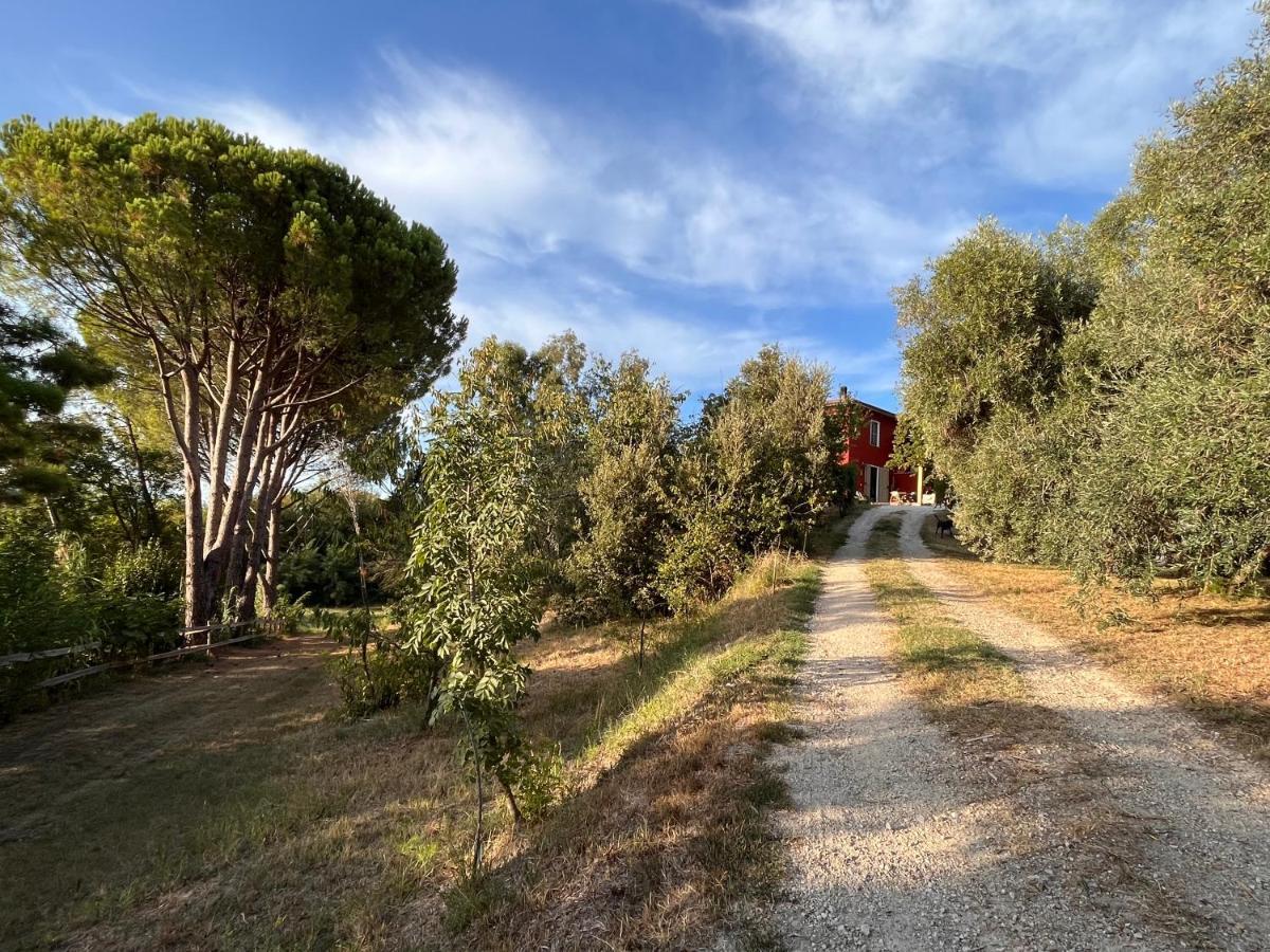 Podere Orzale Agri Hospitality Usigliano ภายนอก รูปภาพ