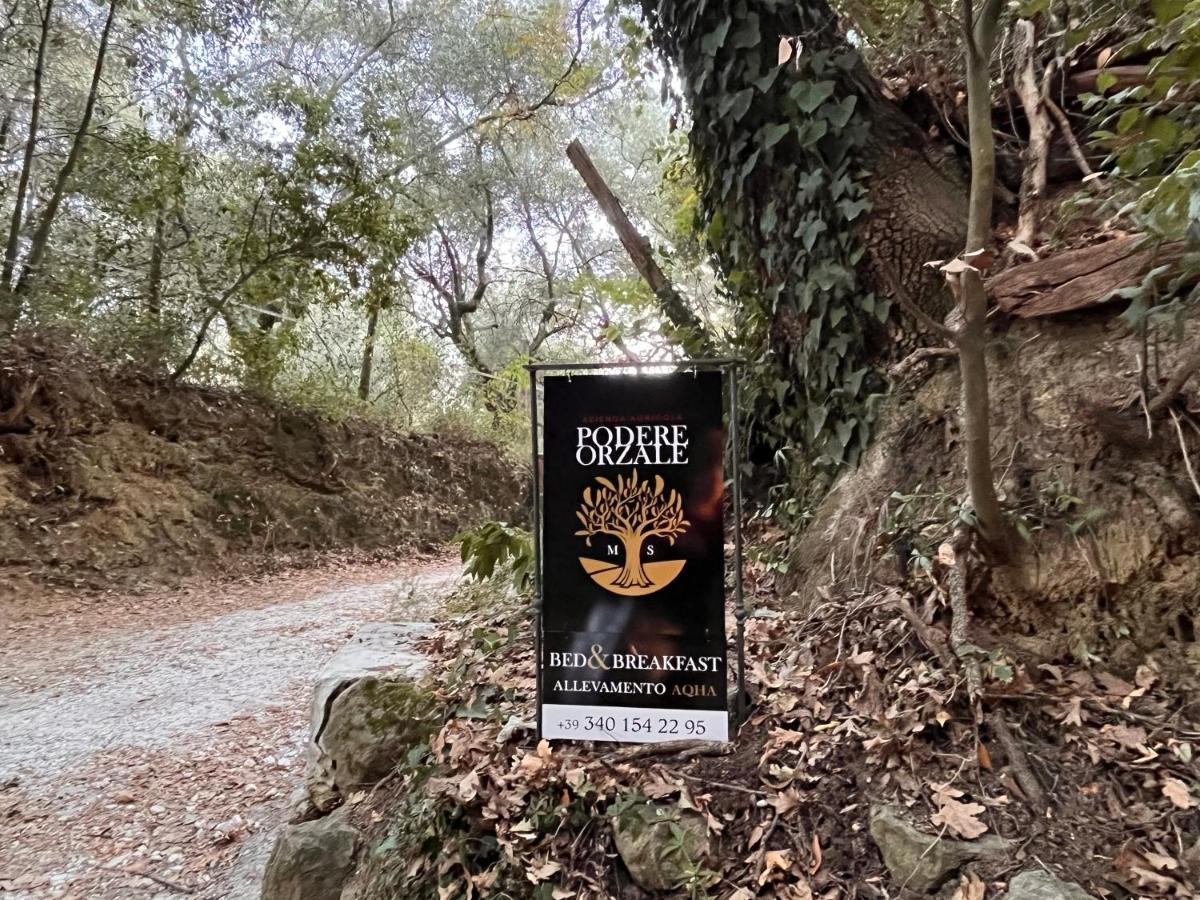 Podere Orzale Agri Hospitality Usigliano ภายนอก รูปภาพ