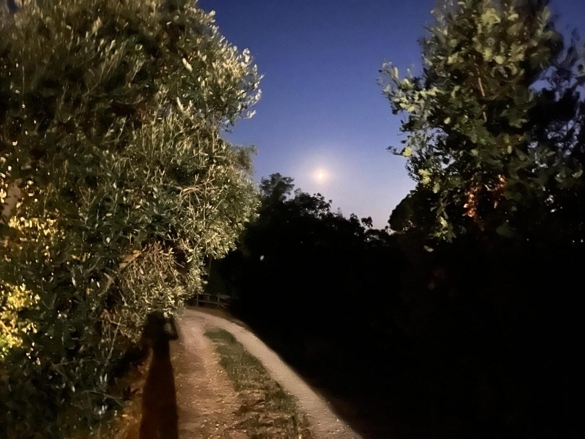 Podere Orzale Agri Hospitality Usigliano ภายนอก รูปภาพ