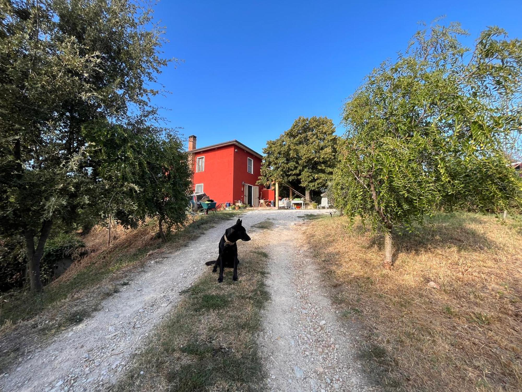 Podere Orzale Agri Hospitality Usigliano ภายนอก รูปภาพ