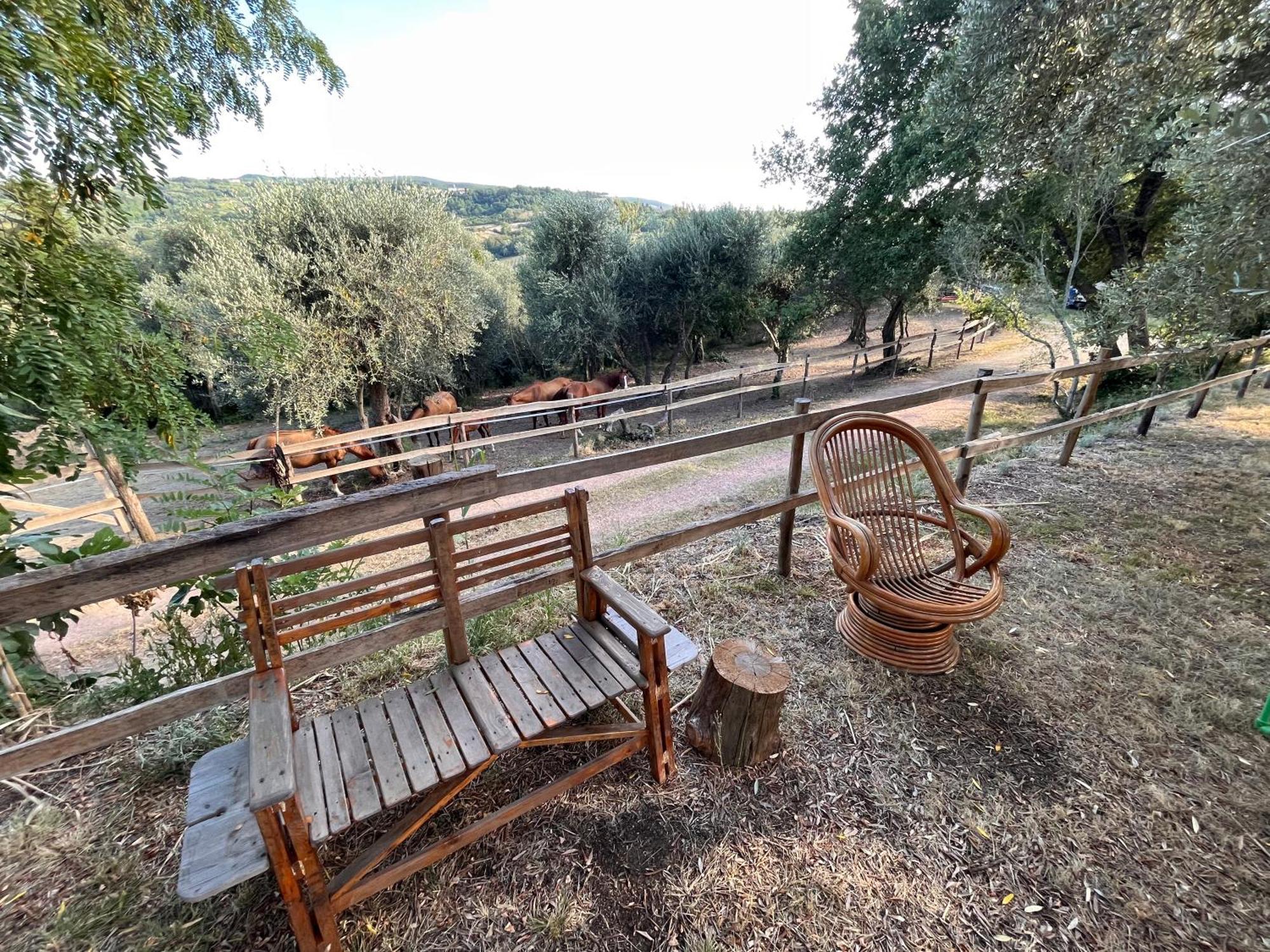 Podere Orzale Agri Hospitality Usigliano ภายนอก รูปภาพ