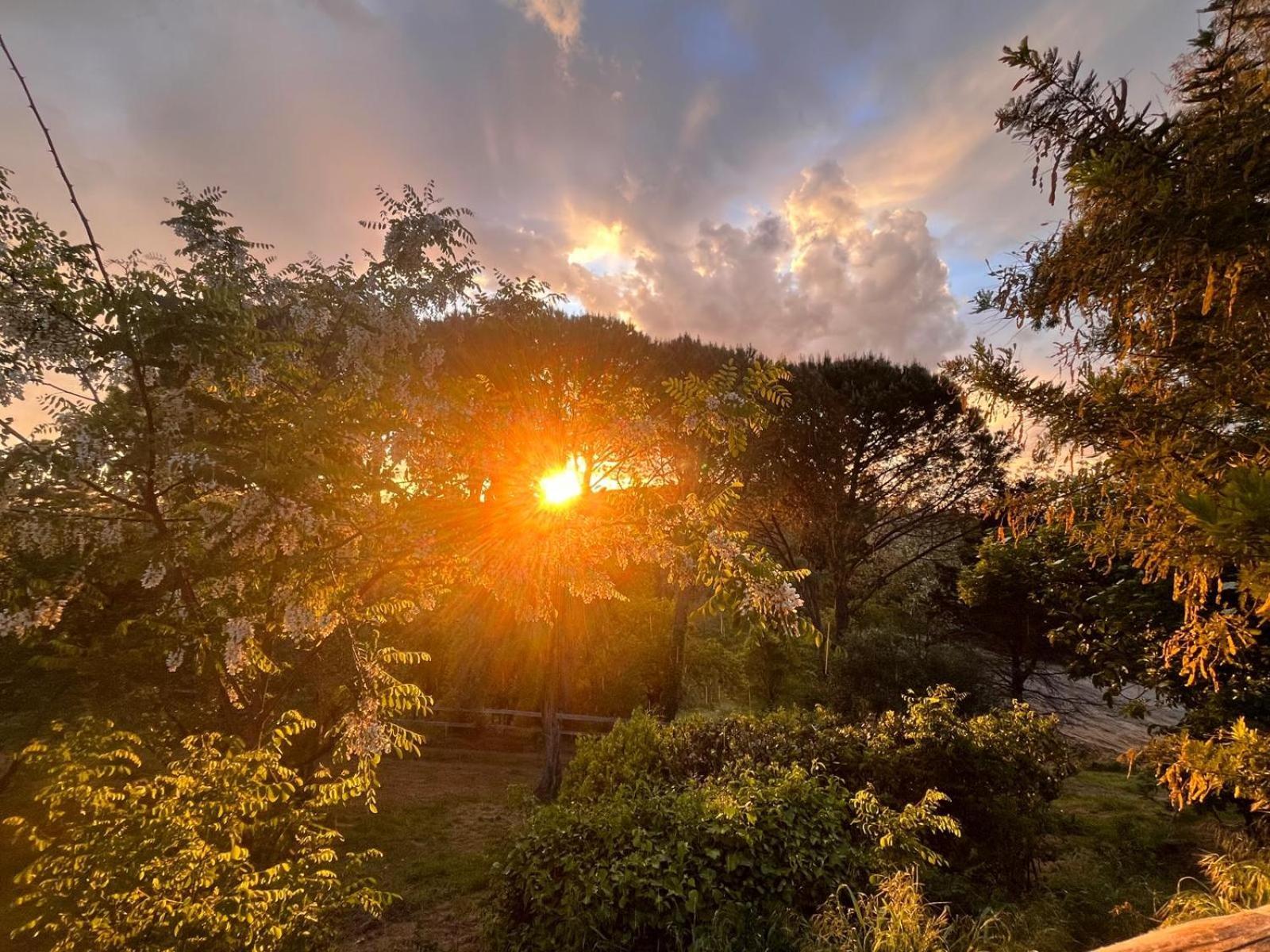 Podere Orzale Agri Hospitality Usigliano ภายนอก รูปภาพ